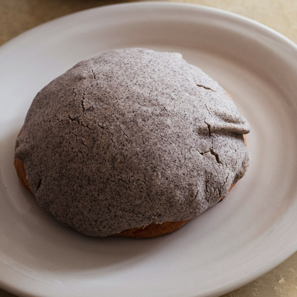 RUMMORA rummora concha cookies